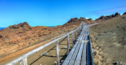 Ecuador: Galápagos djur och natur