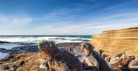 Galapagos: Naturens hemligheter