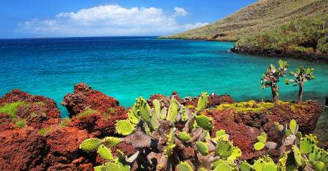 Galapagos: Naturens hemligheter