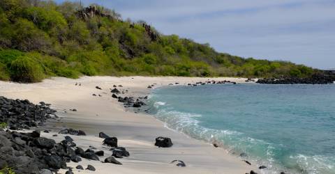 Ecuador: Galápagos djur och natur