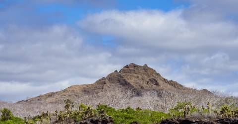 Ecuador: Galápagos djur och natur