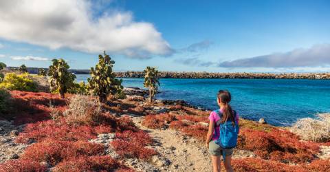 Ecuador: Galápagos djur och natur