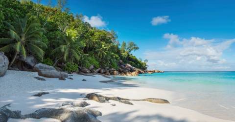 Constance Lemuria Praslin