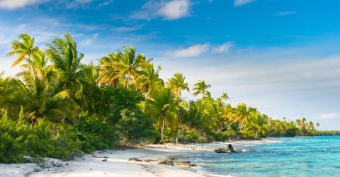 Det bedste af Fransk Polynesien