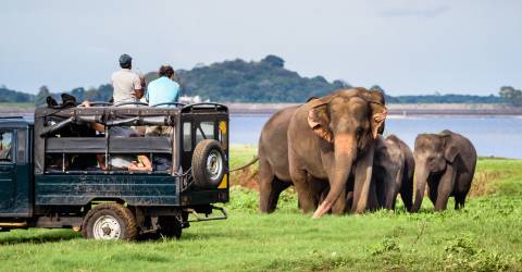 Sri Lankas højdepunkter med Uga Escapes