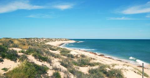 Roadtrip: Australiens Coral Coast
