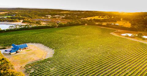 Roadtrip: Kulinariska Australien