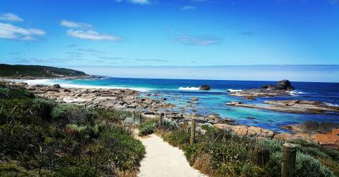 Roadtrip: Kulinariska Australien