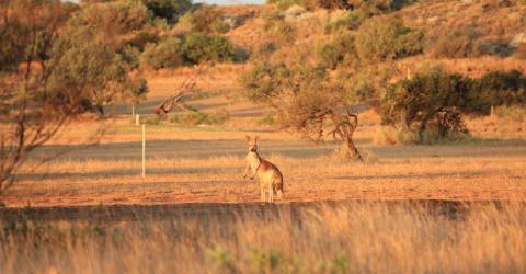 Roadtrip: Australiens Coral Coast