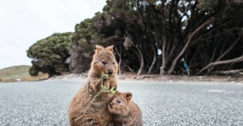 Roadtrip: Australiens Coral Coast