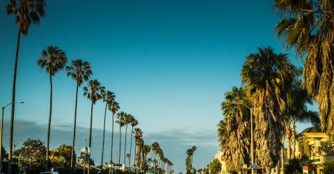 Roadtrip: Kalifornien och Hawaii
