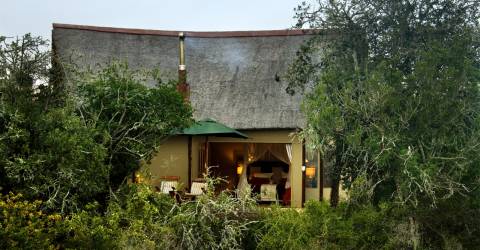 Safarihöjdpunkter i Sydafrika