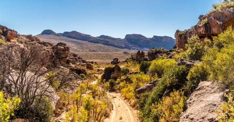 Sydafrika: Western och Northern Cape