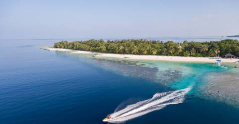 Resa Maldiverna Lily Beach Resort
