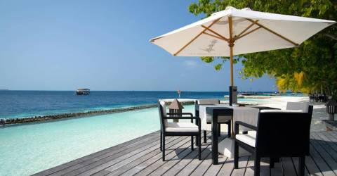 Resa Maldiverna Lily Beach Resort