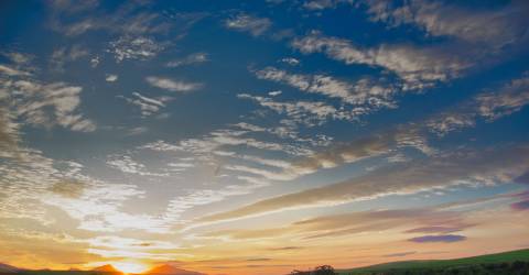Sydafrika: Western och Northern Cape