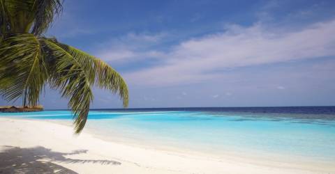 Resa Maldiverna Lily Beach Resort