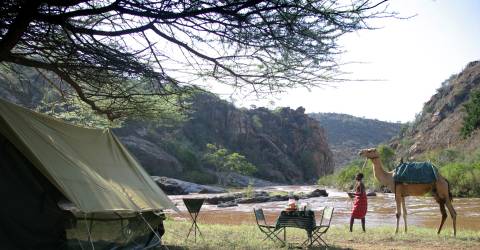 Kenya eller Tanzania: Hvilken safari skal du vælge?