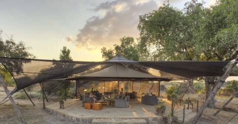 Kenya eller Tanzania: Vilken safari passar dig?