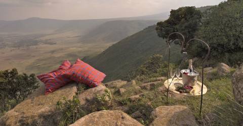 Kenya eller Tanzania: Hvilken safari skal du vælge?