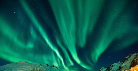 Spetsbergen: Arktis djur och natur