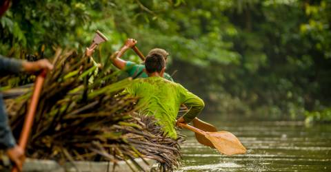 Amazonas, Fastlandet och Galápagos