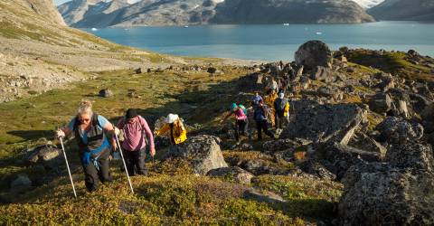 Spetsbergen: Arktis djur och natur