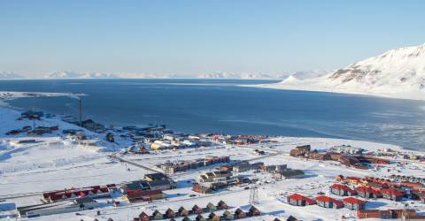 Svalbard: Arktis dyr og natur