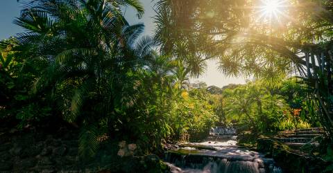 Costa Rica: Vilda djur & avkoppling