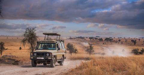 Tanzania: Lyxsafari & barfotaparadis