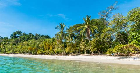Därför bör du resa till Costa Rica 