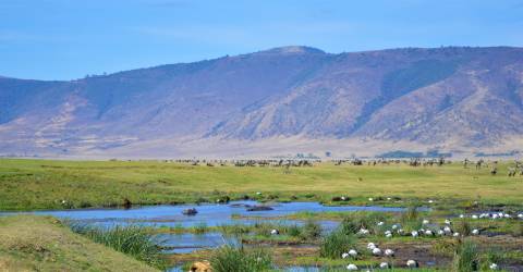Tanzania: Lyxsafari & barfotaparadis