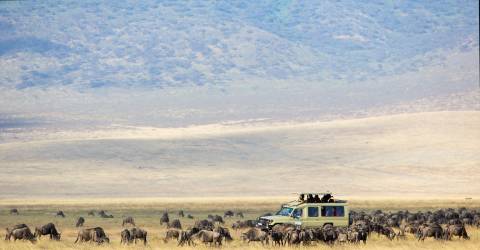 Tanzania: Lyxsafari & barfotaparadis