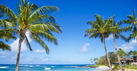 Big Island, Maui och Kauai: utomhusaktiviteter och äventyr