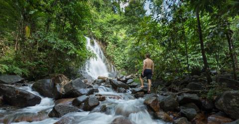 Thailand: Bangkok, Elephant Hills og strande