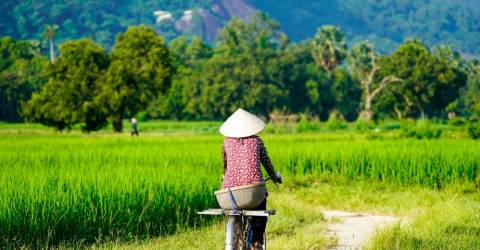 Vietnam