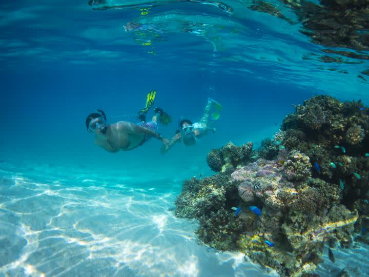 två personer snorklar vid rev på cooköarna