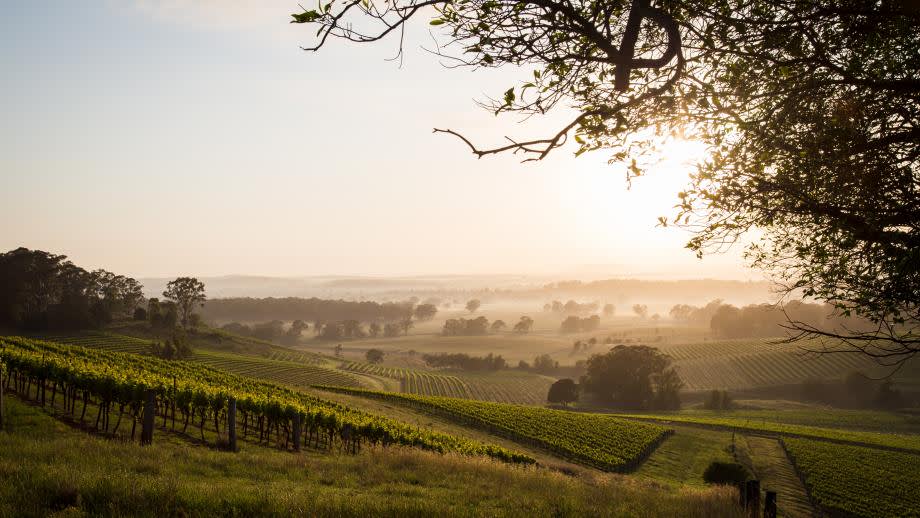Hunter Valley vinregion Australien