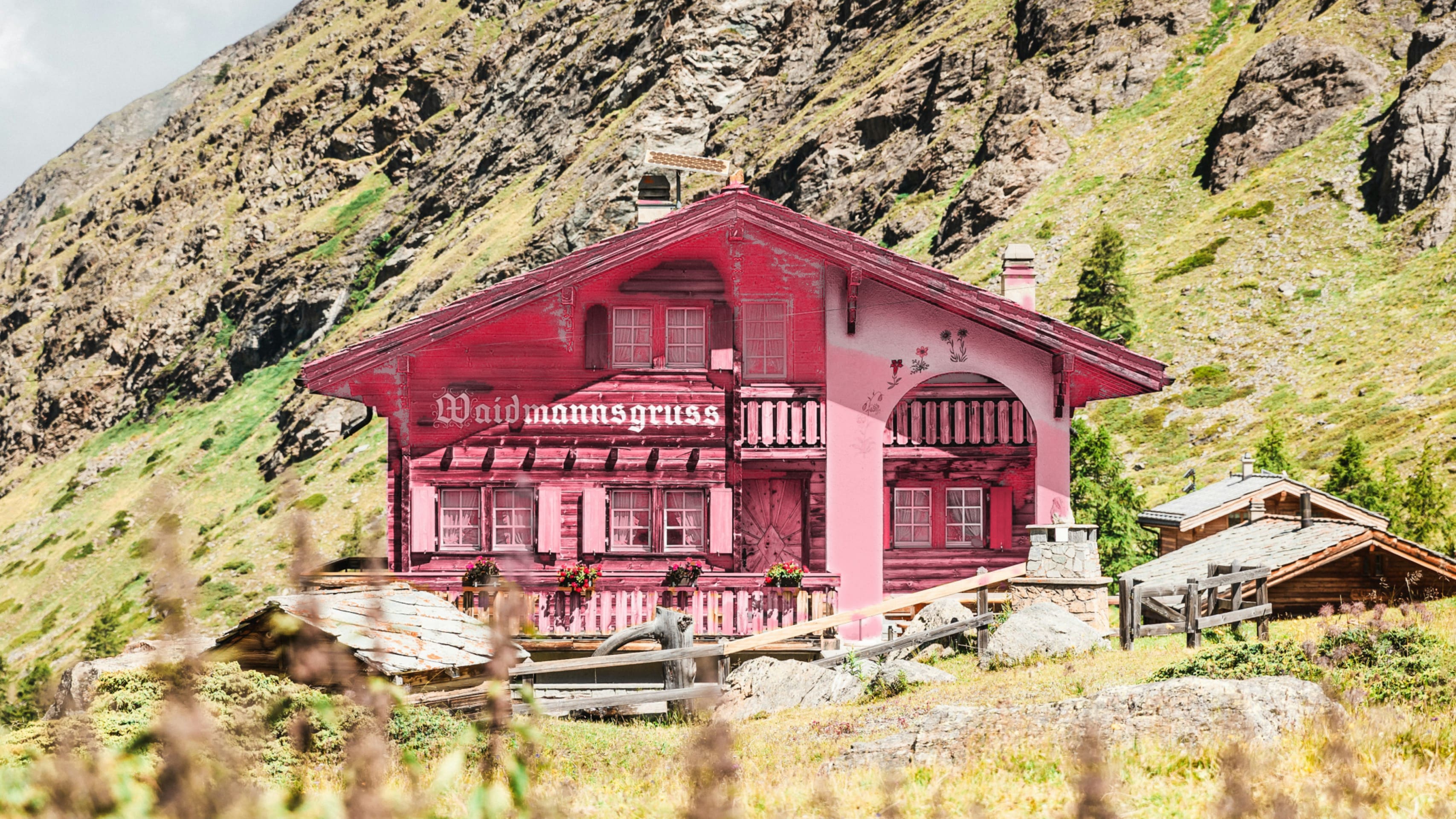 Changing the color of the house
