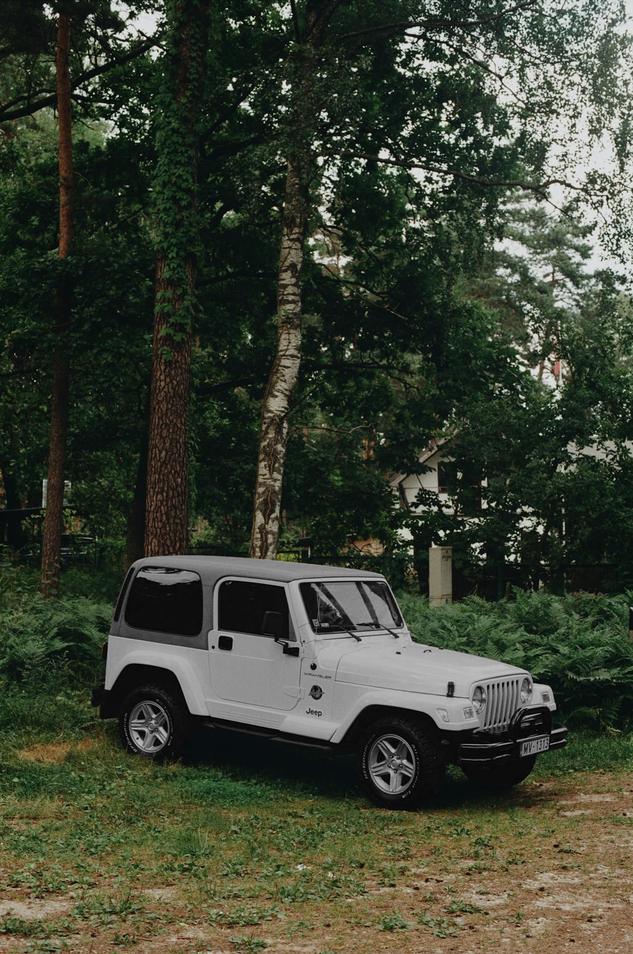 Changing color of jeep