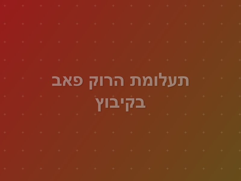 תעלומת הרוק פאב בקיבוץ escape room by ParadisEscape in בית זרע