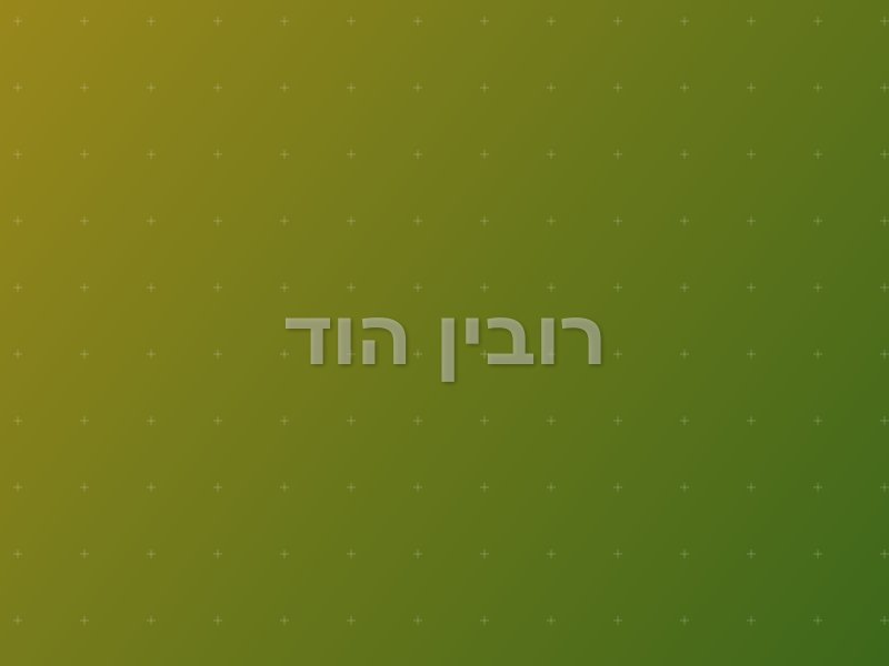 רובין הוד escape room by Action Game in כפר סבא