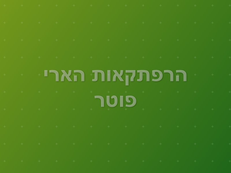 הרפתקאות הארי פוטר escape room by Puzzle Box in נתניה