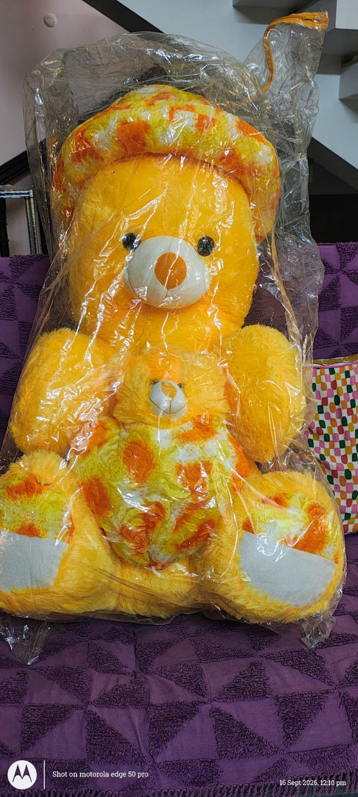 Teddy bear - Thumbnail 2