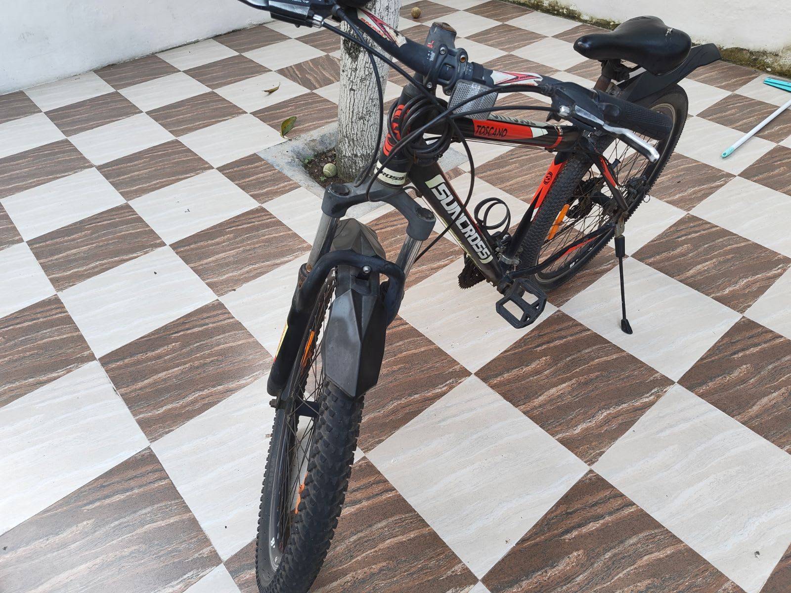 Cycle - Image 1