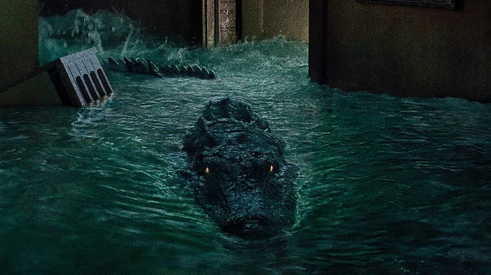 The Bayou (2025)