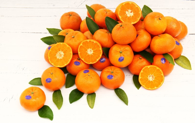 OUR VARIETIES - NADORCOTT MANDARIN