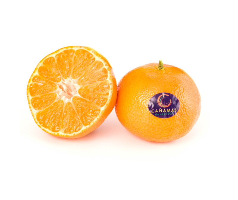 Diseño sin título.png