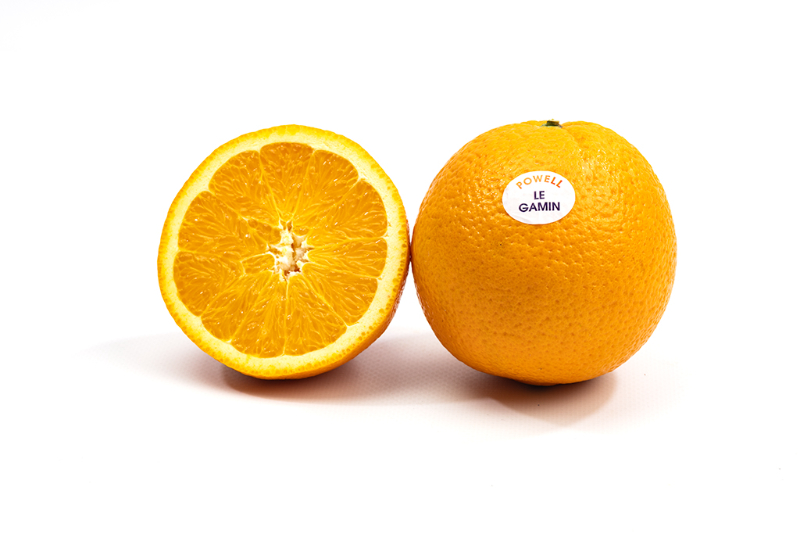 Navel Powell - Detalle.jpg