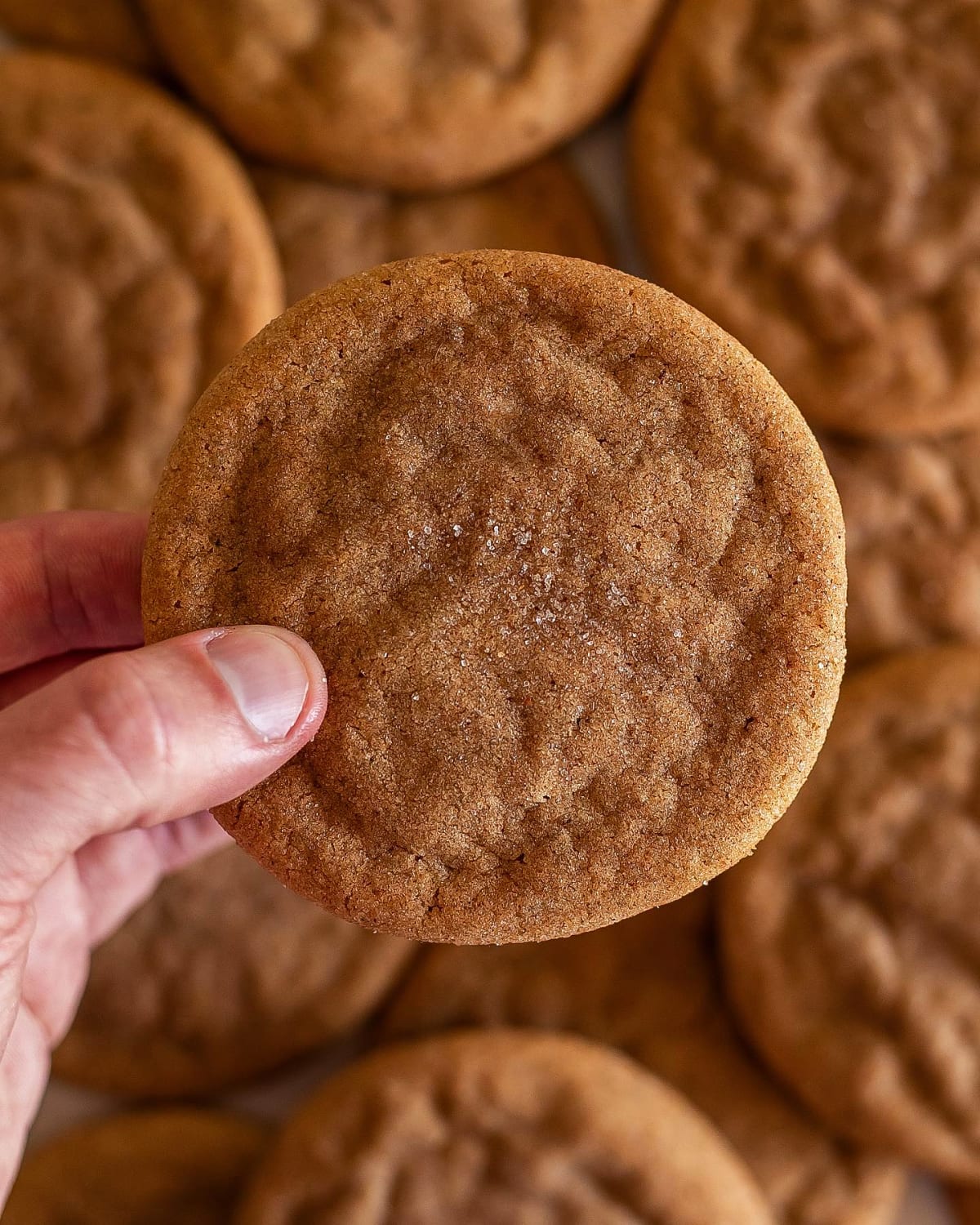 Brown Butter Chai Spice Sugar Cookies
